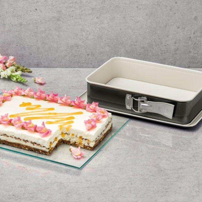 Moule a manqué et moule rectangulaire - DR oeTKER - Back Trend - 28 cm et 28 x 18 cm