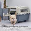 XDPC Xinding Pet Airline Crate: Durable Plastic Carrier with Iron Window for Cats & Dogs, Air China Approved