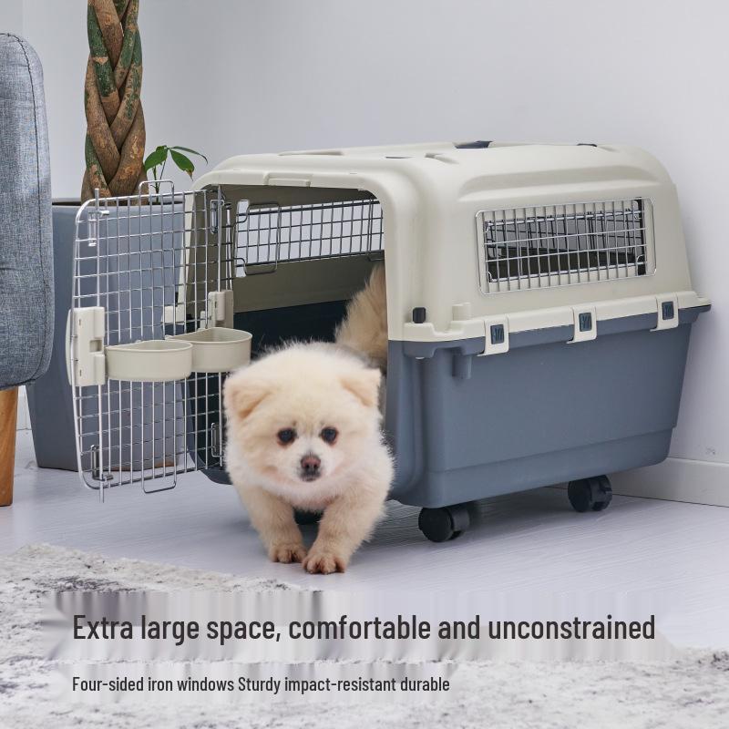XDPC Xinding Pet Airline Crate: Durable Plastic Carrier with Iron Window for Cats & Dogs, Air China Approved