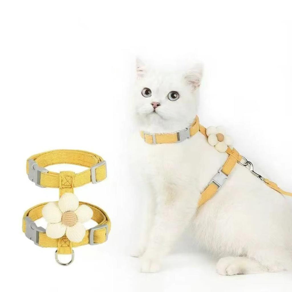 Collars and Guides for Cats Pets Kittens Supplies Collar Kitten Pet Goods Products Accessories Things Leash Chain the Animals So