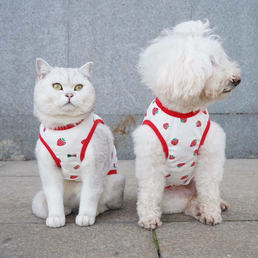 Summer Sleeveless Cat Vest - Lightweight Anti-Shedding Cotton for Ragdoll & Blue Cats