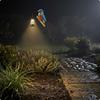 bird Garden Lantern Colorful Solar Warm White