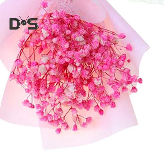 HOW-E Gypsophila Romantická přírodní sušená květina Babysbreath květinová dekorace