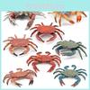 Simulation Plastic Crab Models Action Figures For Home Office Decoration Gift