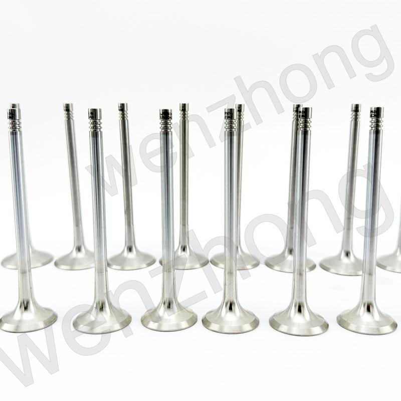 EA888-Gen3 2.0T Engine Intake Valves & Exhaust Stem Seals for A3 A4 A5 Q5 Golf Jetta Beetle Passat CC 06D109611H 06D109601M