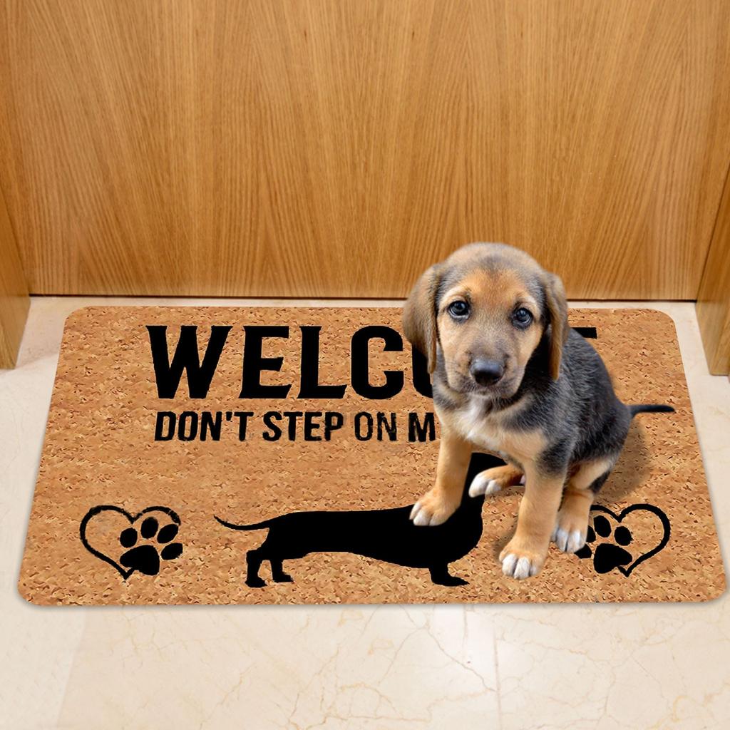 Non- Door Mat, Indoor And Outdoor Carpet, Home Welcome Mat