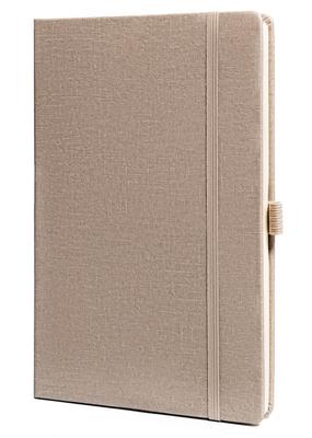 Notebook PTN NOT-6-6287 Beige