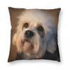 Dandie Dinmont Terrier Square Pillowcase Polyester Linen Velvet Pattern Zip Decorative Pillow Case Sofa Cushion Cover