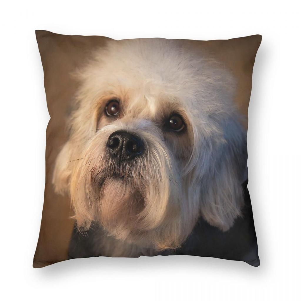 Dandie Dinmont Terrier Square Pillowcase Polyester Linen Velvet Pattern Zip Decorative Pillow Case Sofa Cushion Cover