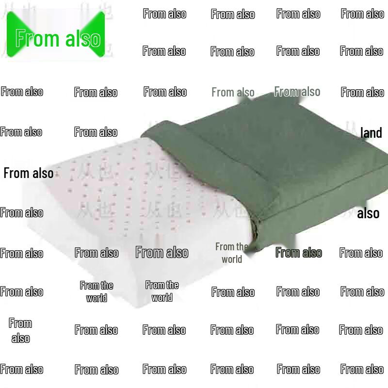Congye Single Hard Cotton Pillow