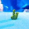 Creative Cute Kawaii Resin Ocean Animals Figurine Model  Coral Small Ornaments Diy Home Decoration Accessories Gifts