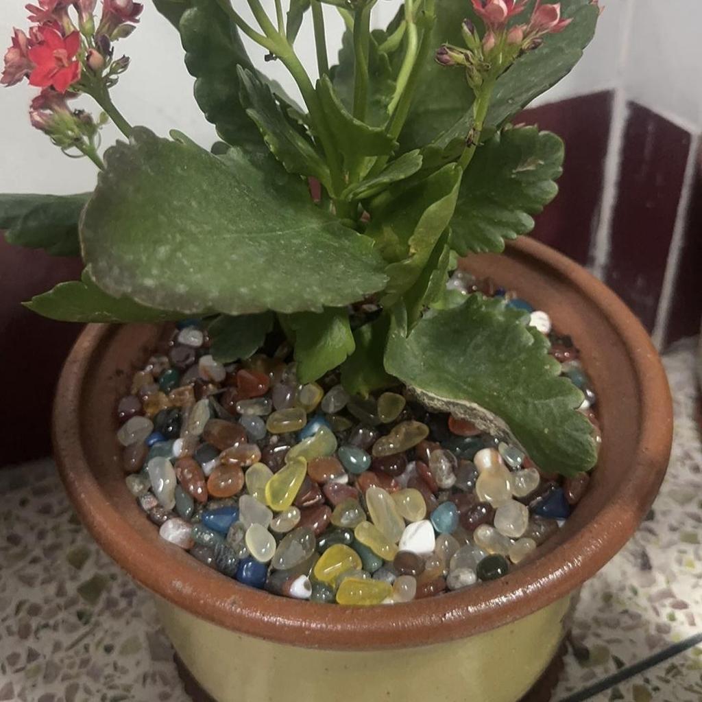 7 Chakra Crystal Mix - Healing Gemstone Collection for Meditation, Altar Offerings, Mandala Making, & Aquarium Decor