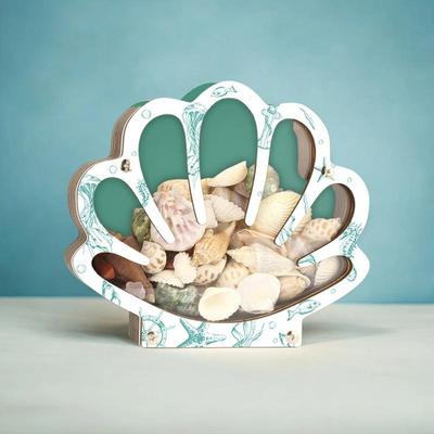 Seashell Display Case Portable Seashell Display Decorative Wooden Clear Portable Holder For Exhibiting Kids Beach Outings