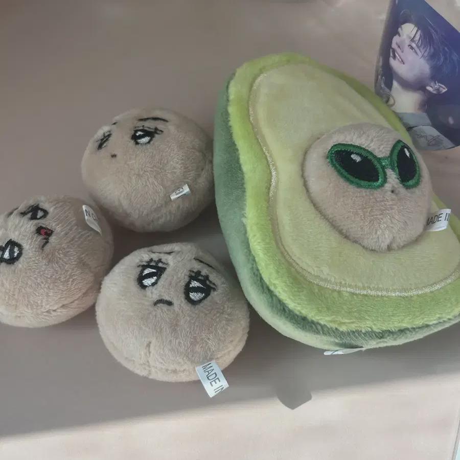 Seventeen Vernon Verbocado Dolls Doll Sell