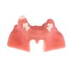 Maxillary Sinus Teeth Model Dental Implant Teaching Model For Dentist Student Practice Studying Oral Medical Model