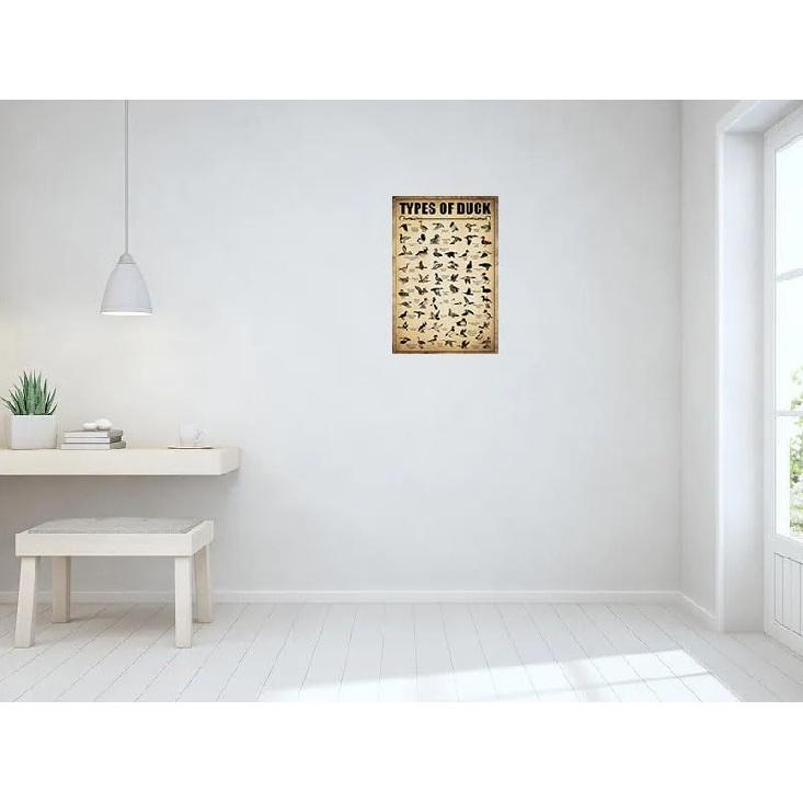 Type Of Duck Tin Sign Duck Hunting Decor Mallard Ducks Knowledge Metal Signs Vintage Duck Hunting Decorations For Home Kitchen Bathroom Duck Wall Art