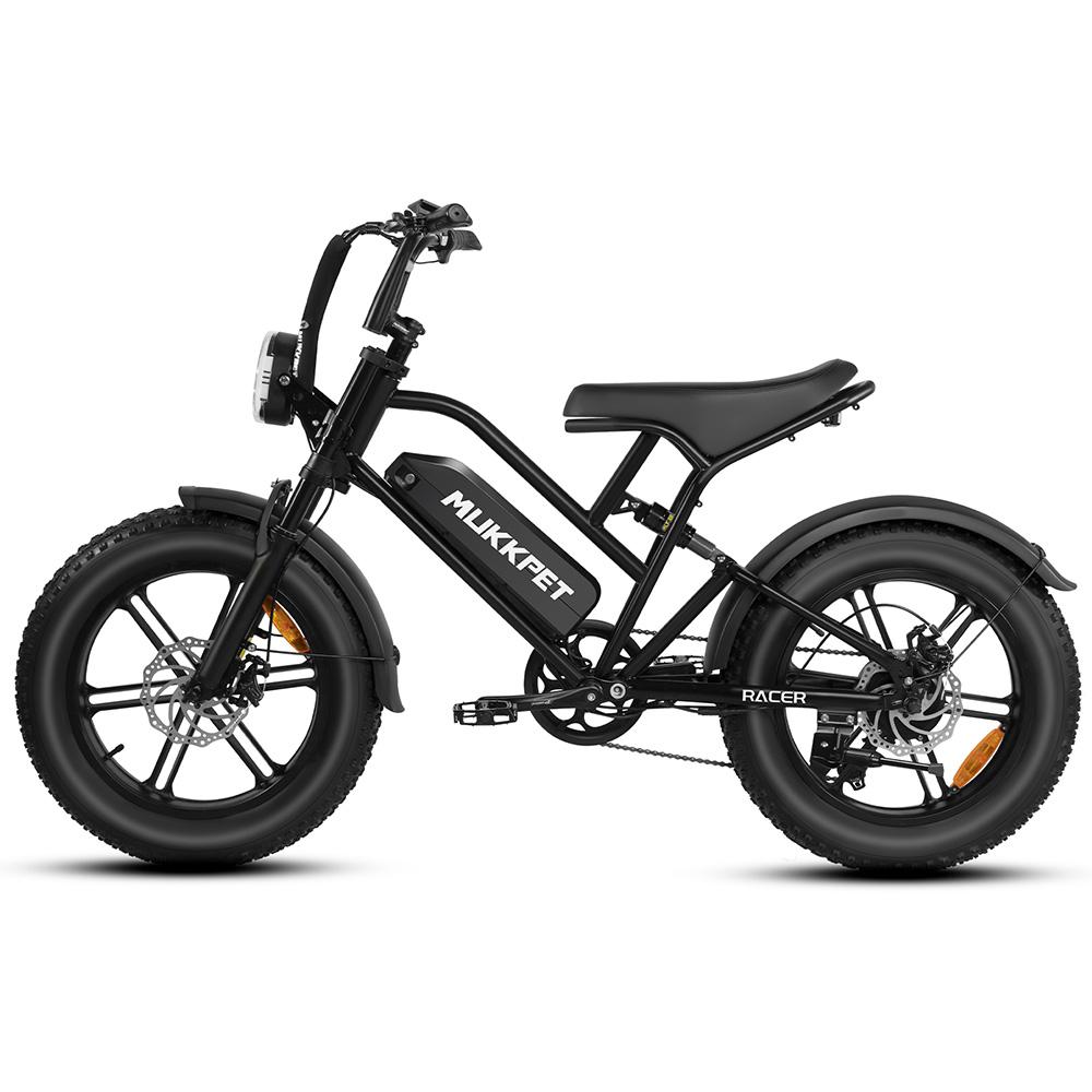 Mountain Bike Elettrica Motore 250W Ruote Grasse 20" Full Ammortizzata Bicicletta Elettrica per Adulti 48V 18Ah Freni a Doppio Disco 7 Velocità Velocità Massima 25Km/h