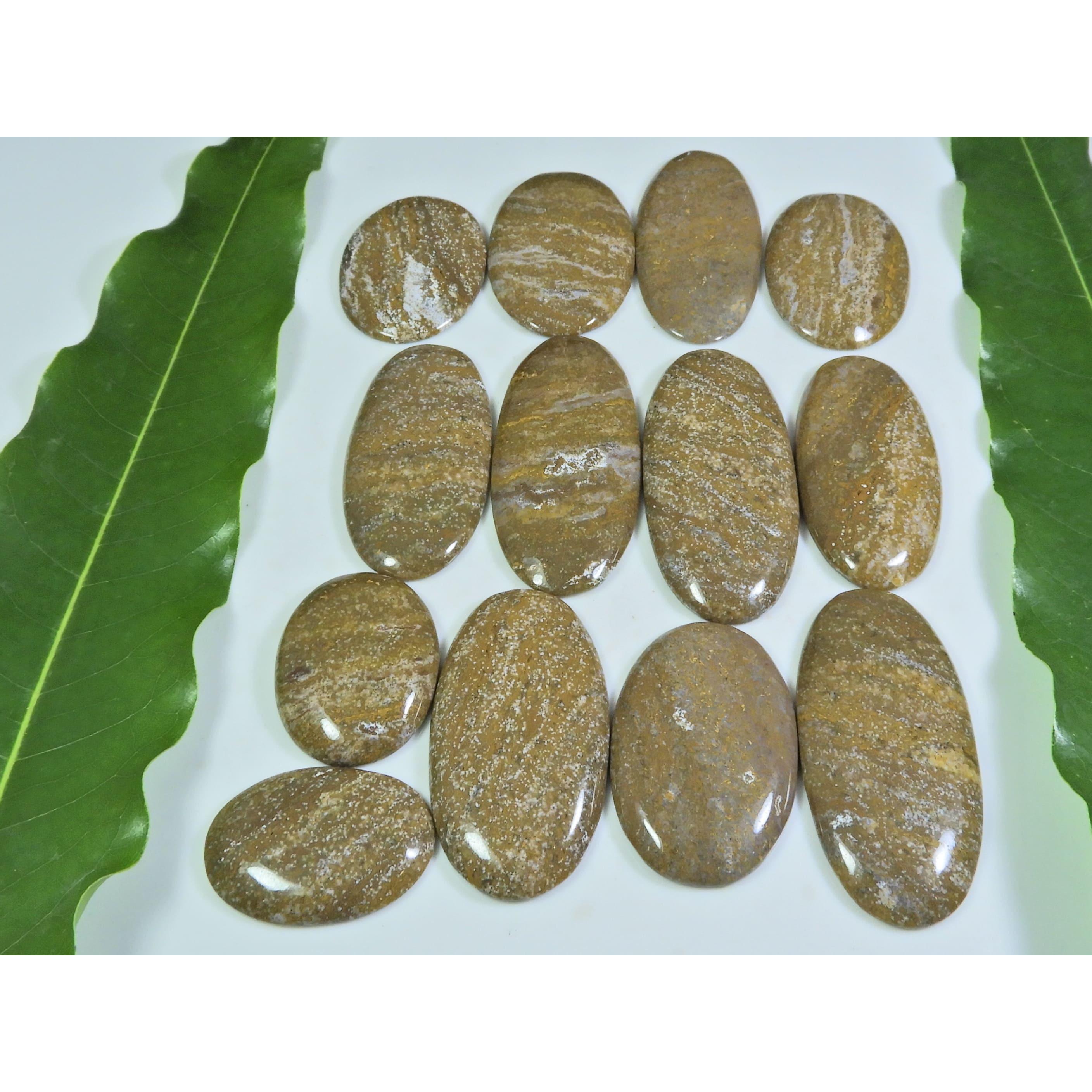 

313 Кт. Натуральный Океанический Яшма Овальный Кабошон Свободный Драгоценный Камень Лот 13 шт. A-192