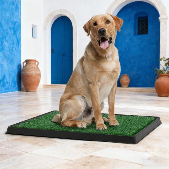 Artificial Grass Dog Pee Pad Fake Turf Pet Potty Pad with Tray Washable 3-Layer Reusable Puppy Training Mat for Indoor Outdoor Use Small Medium Dogs