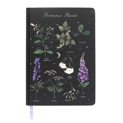 Blocnotesuri și carnete – Agende