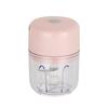 USB Rechargeable Electric Food Chopper, 250ml Mini Vegetable Cutter for Onions, Garlic, Meat, Multifunctional Kitchen Chopper Processor