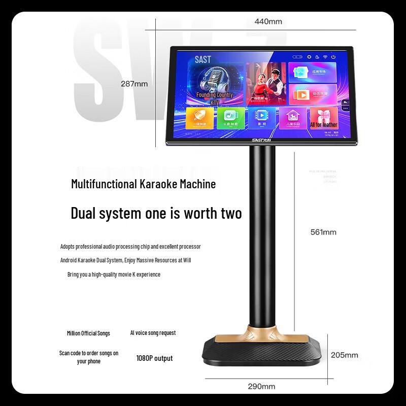 SAST Professional 22-inch Smart KTV Karaoke System CN Plug (adapter Included)