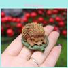 Resin Hedgehog Animal Model Decor For Garden Micro Landscape Gift For Kids And Friends
