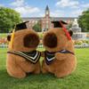 Cartoon Design Graduation Capybara Plush Toy 25 CM Doctor Hat Capybara  Party Decor