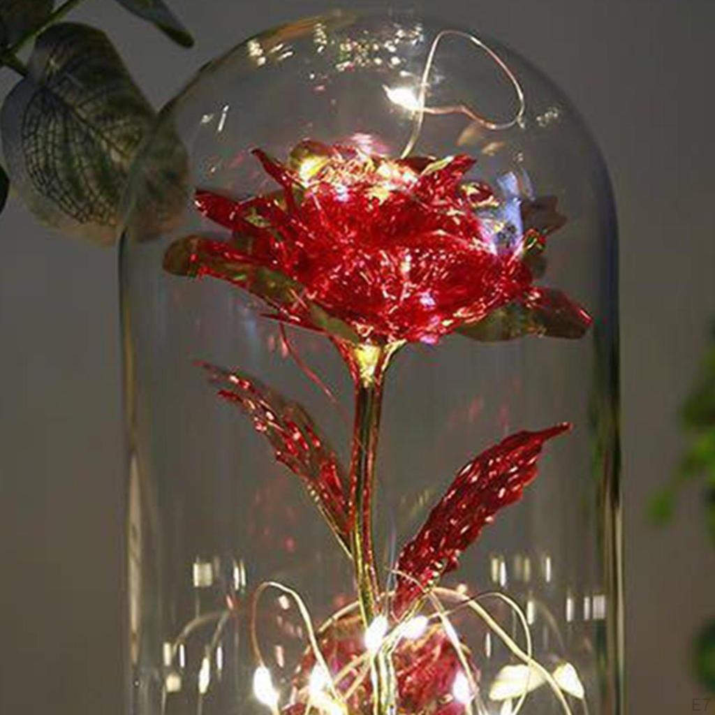Forever Enchanted Rose with Colorful Romantic Gifts on Valentine Day Anniversary