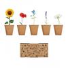 MidOcean Flowers Flower Seeds