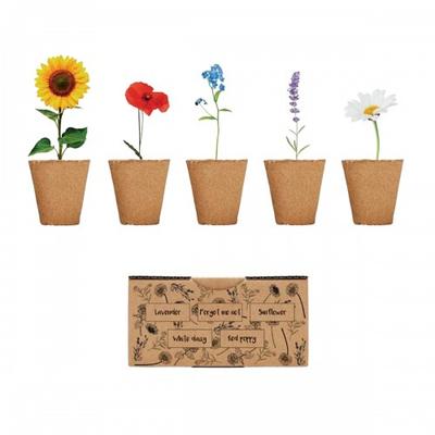 Flowers Flower Seeds