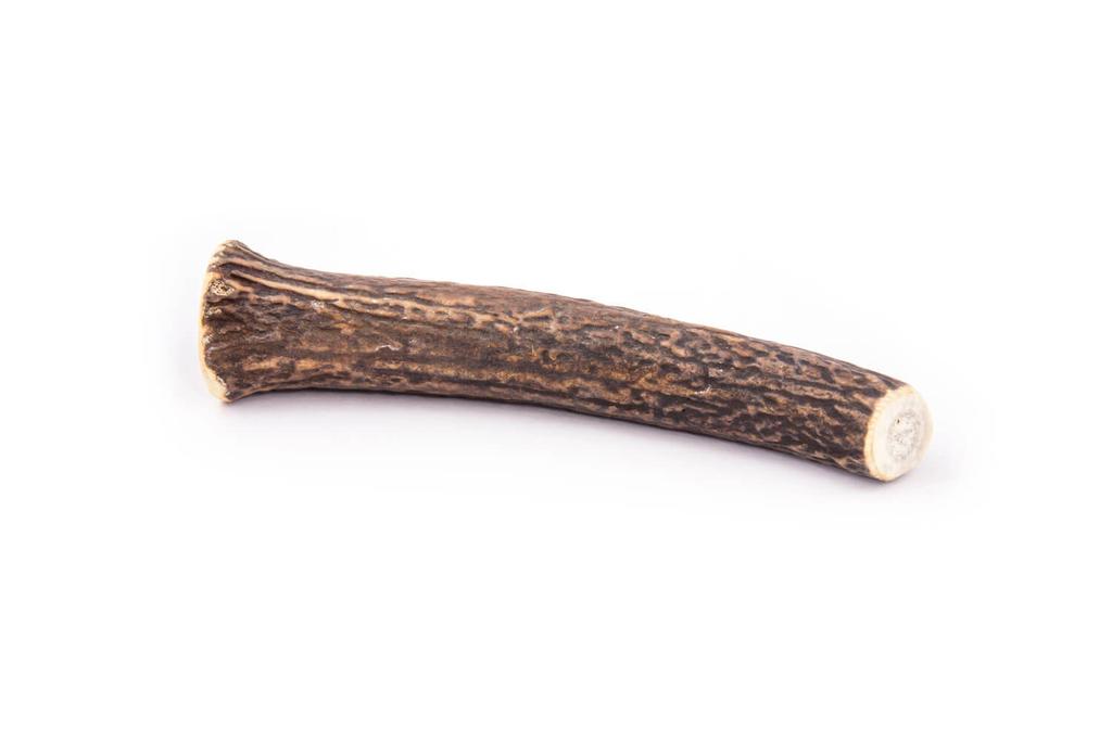 Deer antler chew toy R-Line 4DOGS size XL hard