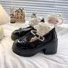 Fashion Ladies Shoes 2025 Platform Women's High Heels Round Toe Autumn Pumps Women Chunky Heel Mary Janes Shoes Woman Dress Lolita Shoes