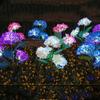 3 Head LED Solar Lamp Hydrangea Landscape Lamp Lawn Light  Vegetable Patch Patio Country