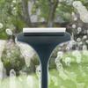 2Pcs Screen Cleaning Brush with Extended Handle 2-in-1 Brush Scraper Design Outdoor Window Screen Cleaner