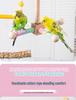 Parrot Toy Rotating Windmill Stand for Budgies & Lovebirds