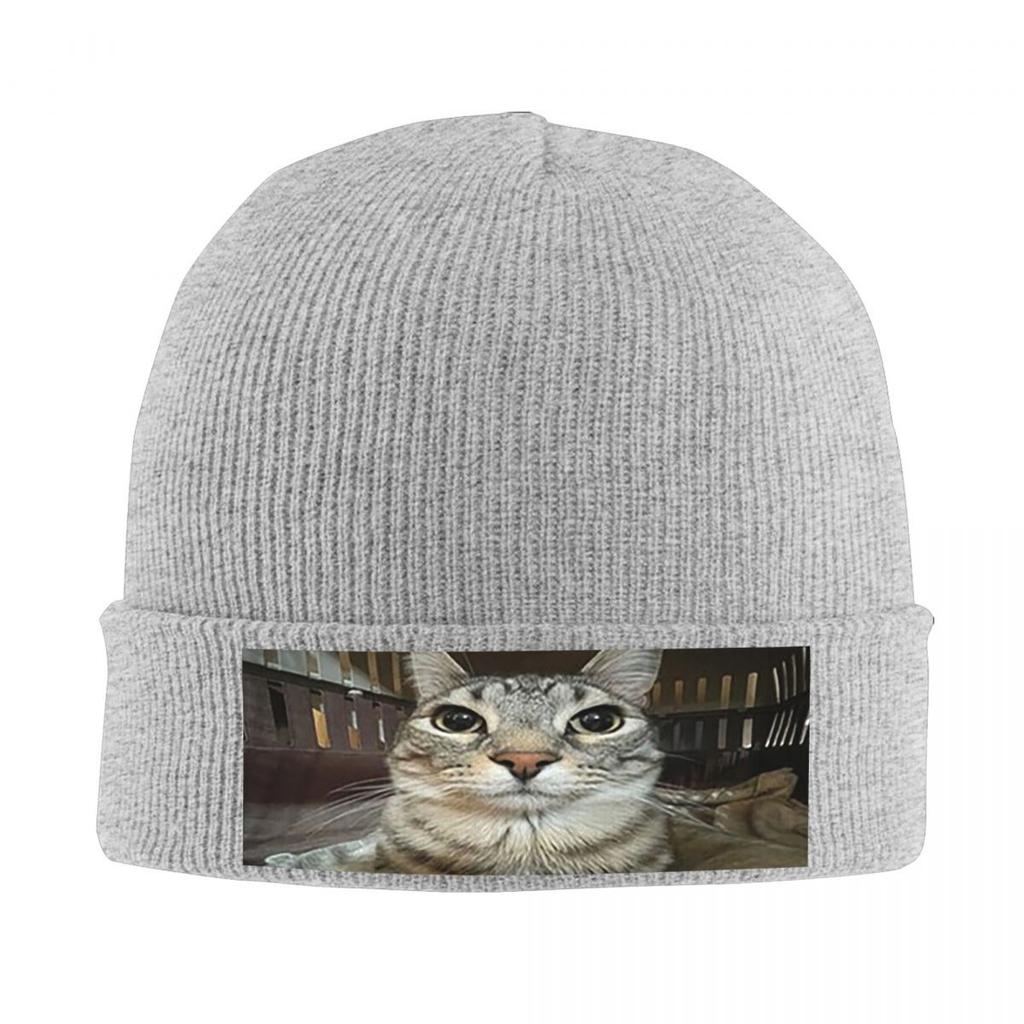 Cat Looking Directly At You Warm Knitted Cap Fashion Bonnet Hat Autumn Winter Outdoor Beanies Hats for Unisex Adult