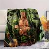 Roronoa Zoro Flannel Blanket, High quality Comfortable for All Seasons, Home Decor, Warmth and Comfort