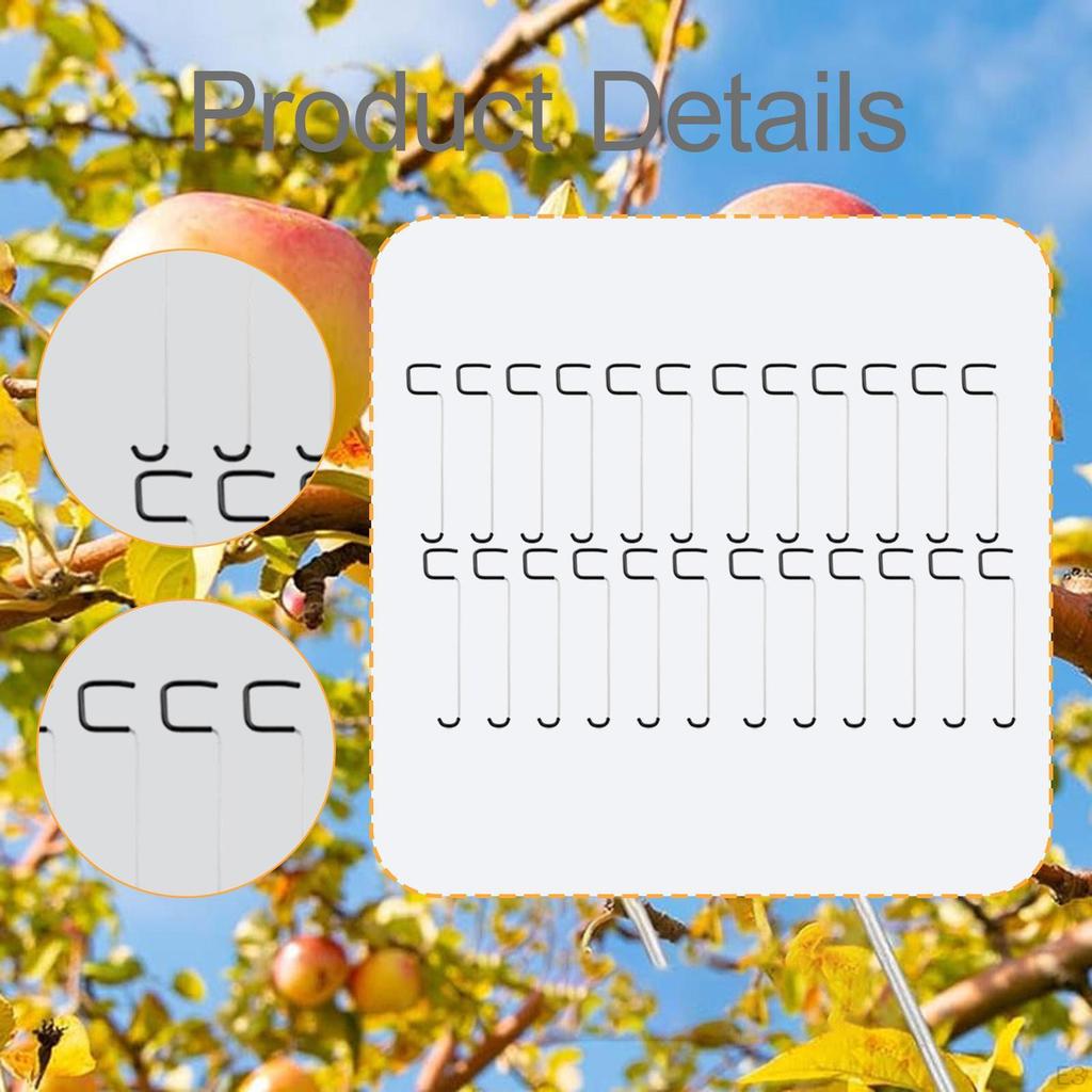 Fruit Tree Branch Spreaders Branches Puller Metal, Accessories, Open Angle, Professional Trees