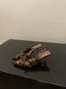 Niche high heels leopard print bag head sandals fairy shoes 2025 new spring and summer pointed bow single shoes