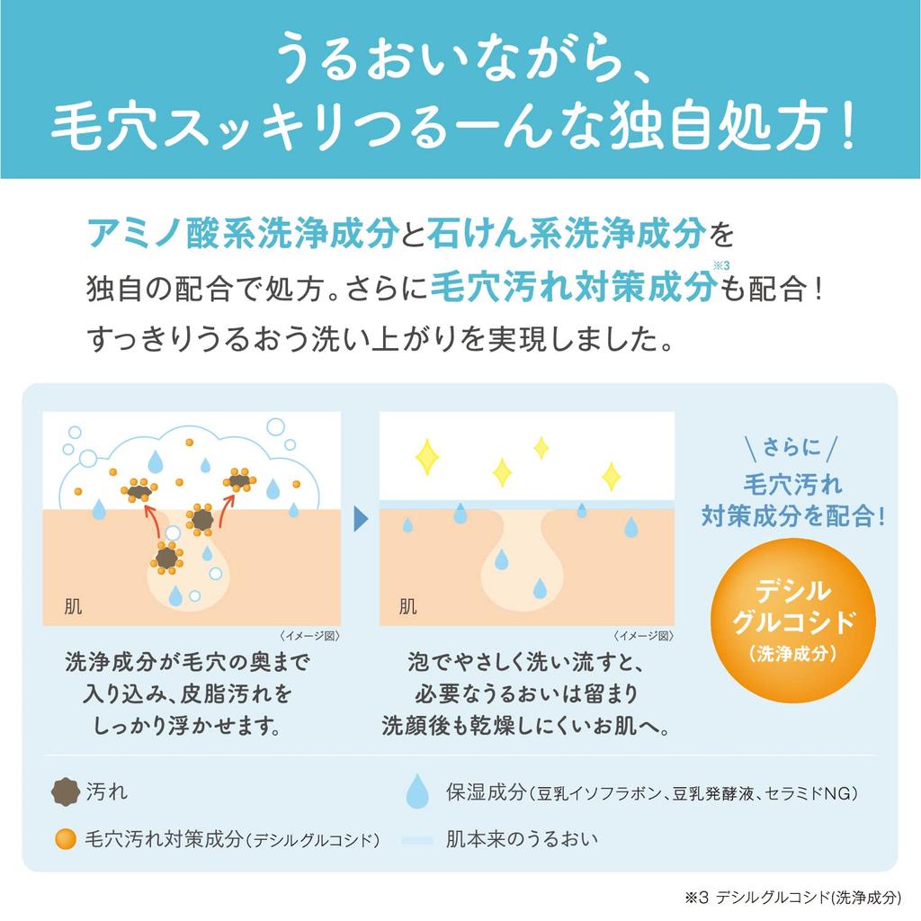 Nameraka Honpo Foaming Facial Cleanser NC Moisturizing Facial Cleanser (Refill)