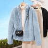Autumn and winter coral fleece jacket women's fashion casual zipper sweater fleece loose stand-up collar age-reducing wear top tide