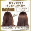 LUX Luminique Shampoo Conditioner Set Pump 450g each Botanical Pure Non-Silicone