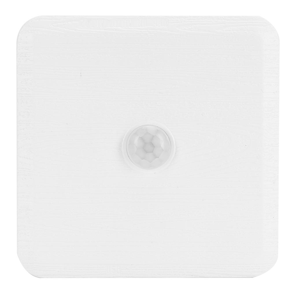 LED Induction Lamp Home Intelligent Sensing Bedroom Cabinet Small Night Light USB Charging