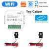 Tuya Smart WiFi Energy Meter with 1/2 CT Clamps for Solar PV System Power Production Consumption Bidirectional Monitoring Meter