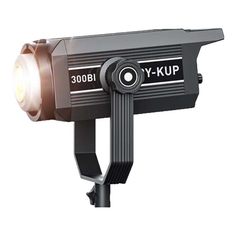Beiyang 300BI Professional Spherical LED Fill Light
