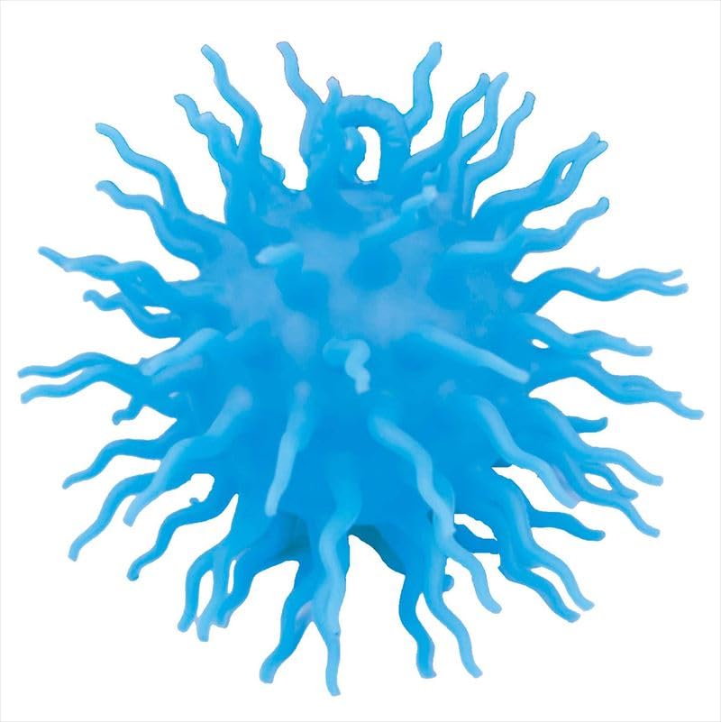 Unique Iga Sea Urchin Ball Assortment Iga Sea Urchin Size UN-0321