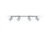 Merida 4L Gray Ceiling Lamp