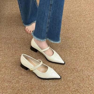 Pointed Small Leather Shoes Women's 2025 New Spring Thick Heels Low Heels High Heels Retro French Temperament Mary Jane Single Shoes