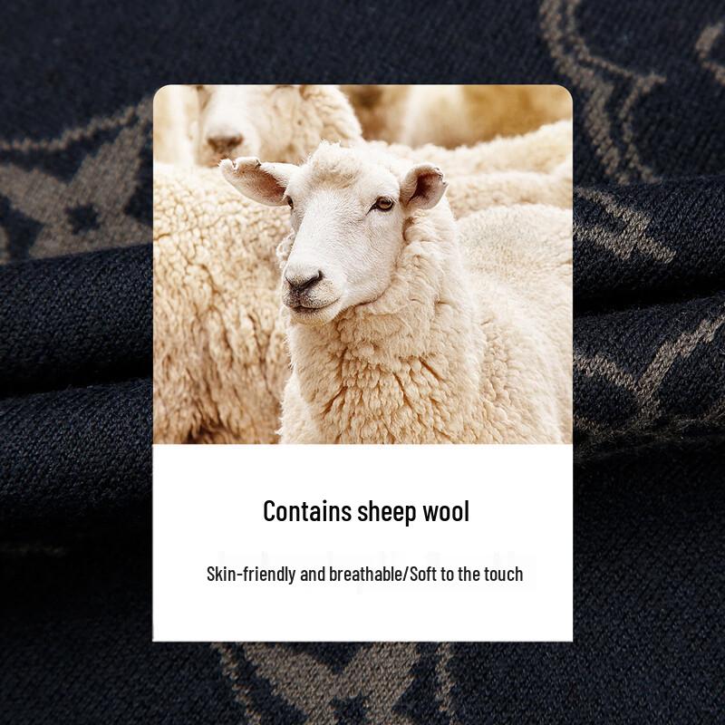 Caizi Herren Pullover Rundhals-Pullover